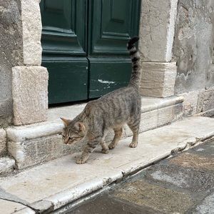 Meet your Posher, Francesca